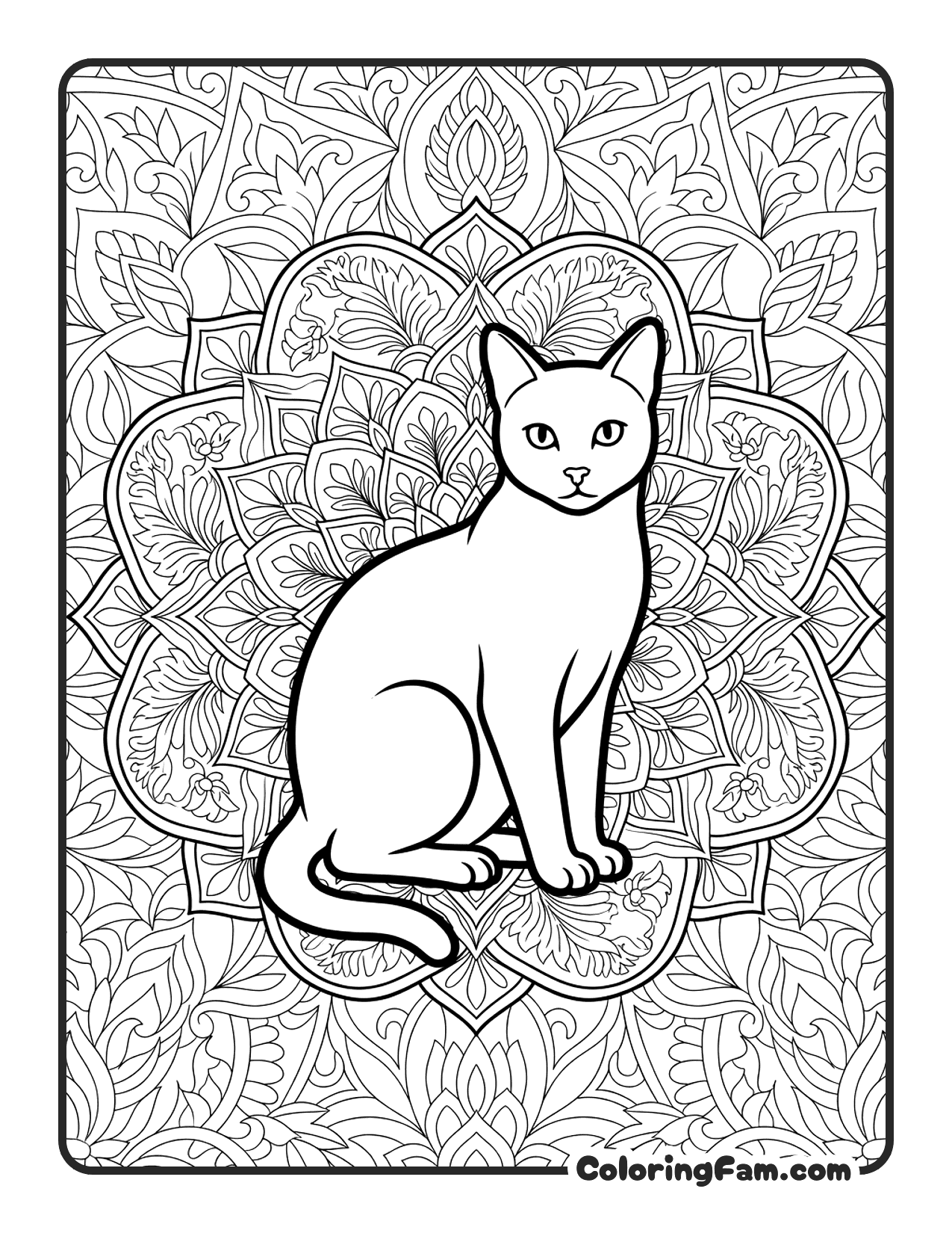 Cat Surrounded By An Ornate Floral Mandala coloring page