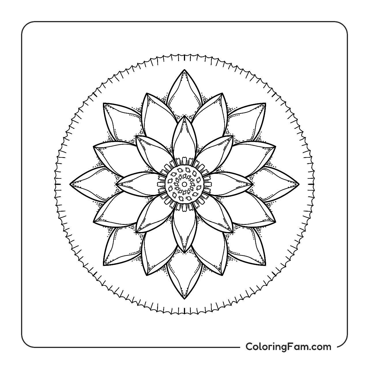 Flower Mandala Pattern coloring page